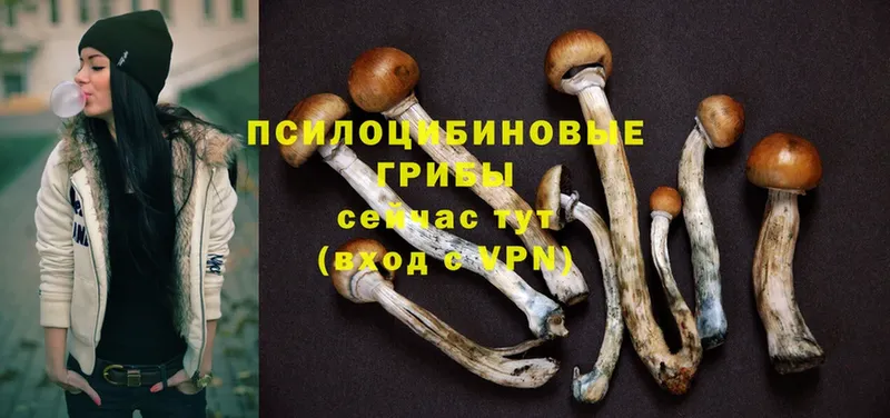 Псилоцибиновые грибы MAGIC MUSHROOMS Гремячинск